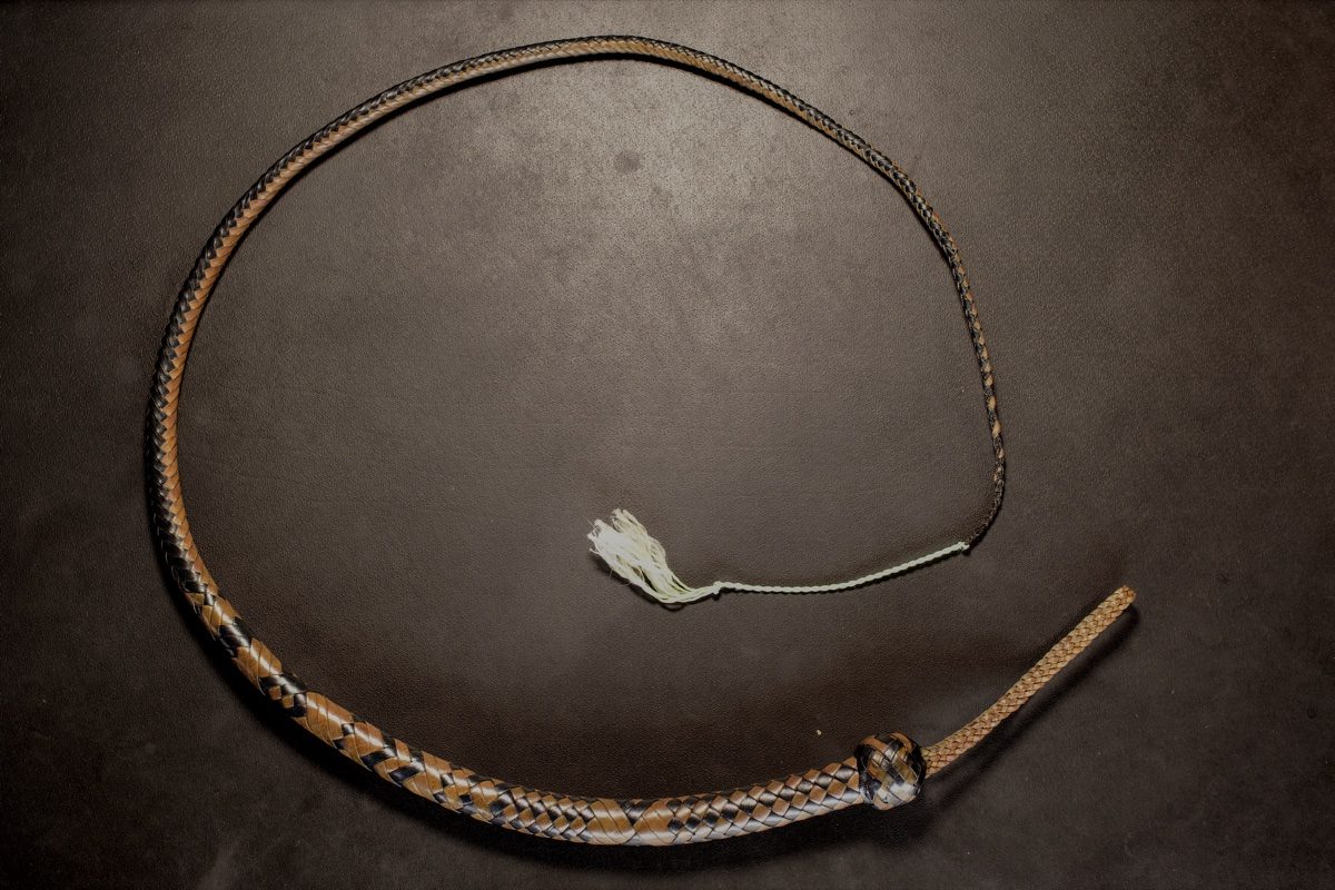 12 Plait 4 foot signal whip originally in “seahawks” color