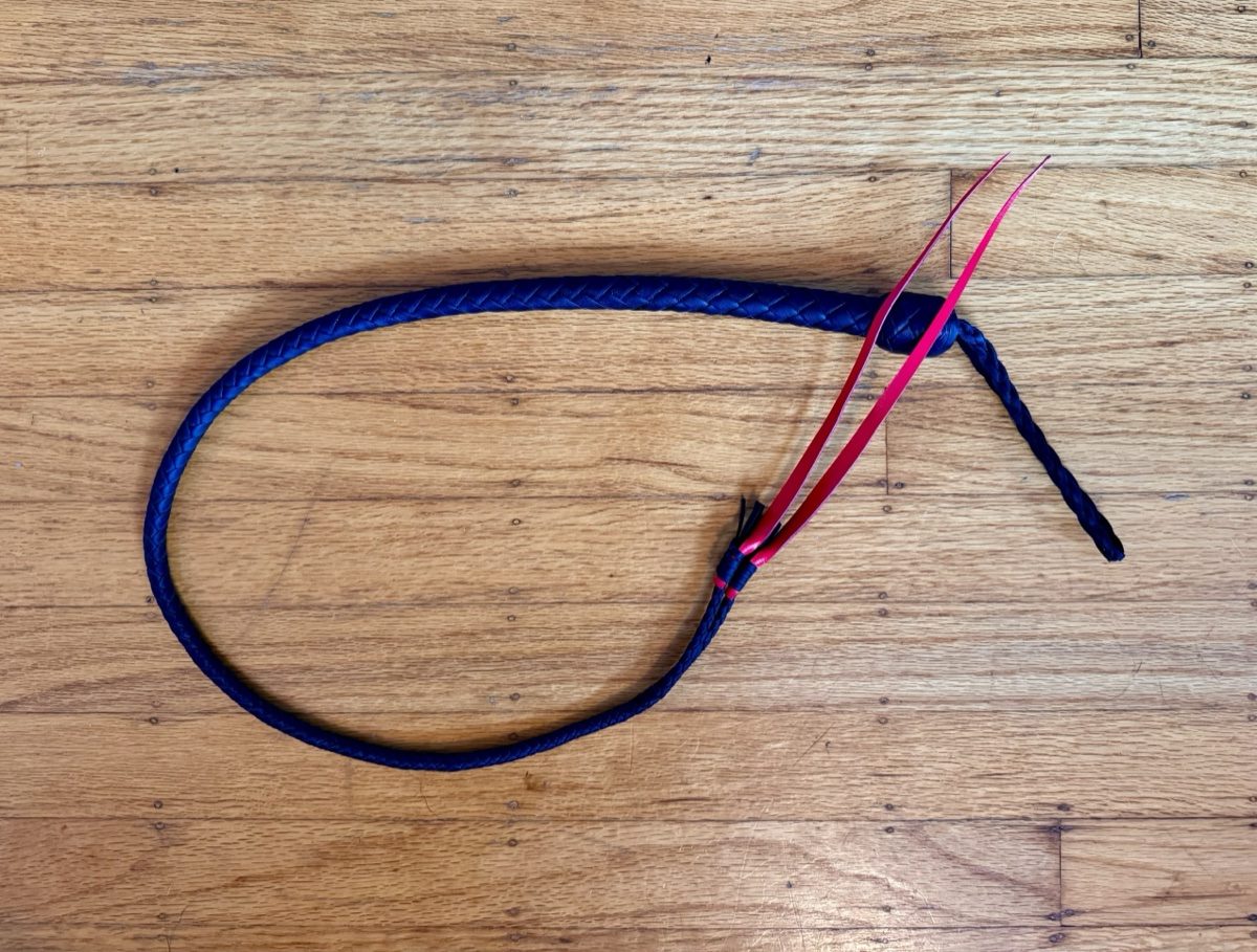 Black Banshee quirt with Neon Red Tips
